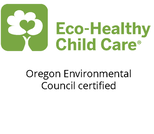 Green Eco-Healthy Child Care logo with a tree, white flower, and green text